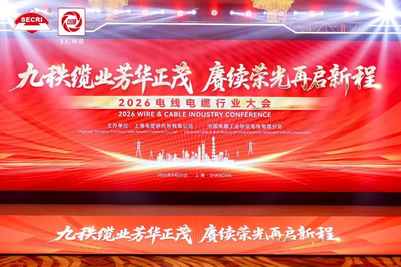 东东1.jpg