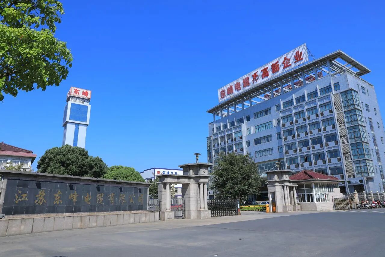 东东4.jpg